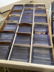 Random $ lot double the value guarantee! Or money back not happy I’ll send more!