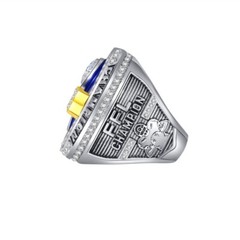 2025 Fantasy Football Championship Ring League Champion USA SELLER