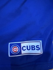 MLB Chicago Cubs Fanatics Shirt/Jersey Mens Size Small 265