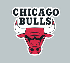 Sticker – Chicago Bulls NBA Logo – Die Cut Laminated Vinyl Decal