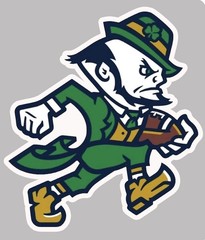 Notre Dame Fighting Irish Football Logo All Weather Vinyl Sticker/Decal 5″