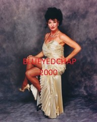 SHERRI MARTEL GIRL WRESTLER 8 X 10 WRESTLING PHOTO WCW WWF