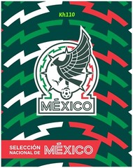 Mexico National Soccer Team Fleece Throw Size 46″x60″ – Mix Color