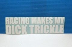 Dick Trickle NASCAR Racing White Decal Bumper Window 7 Inch Sticker USA Made