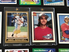 17ct. DAVE MARTINEZ – 1991 Topps TIFFANY (SP) & 1998 Topps DEVIL RAYS #/5000 +15