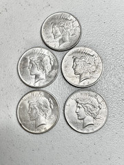 Late Date 1921 to 1935 Peaceful Dolar Culls Random Mix of Dates Lot of 5