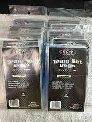 1000 BCW Resealable Team Bags
