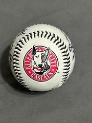 Team signed RIVER CITY RASCALS Baseball FRONTIER LEAGUE Unknown Year