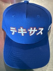 Texas Rangers Japan Heritage Night Hat 5/11/26